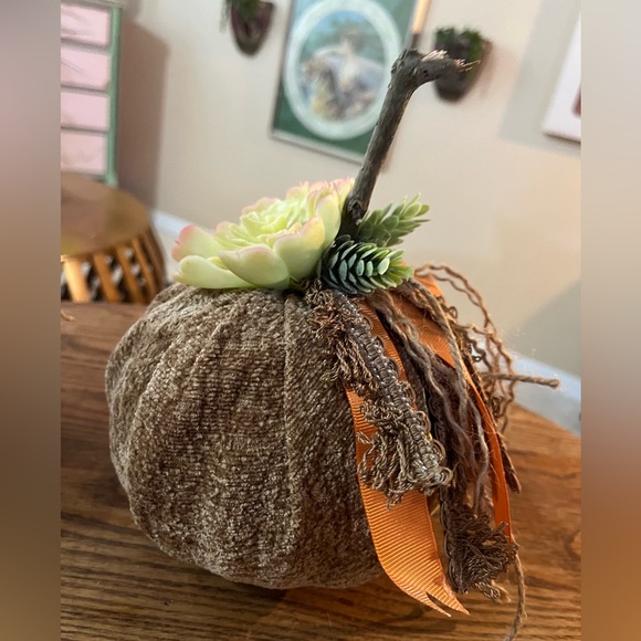 Set of 2 Handmade Succulent Chenille Fall Pumpkins - Fabric Fall Pumpkins - Boho - Picture 10 of 14